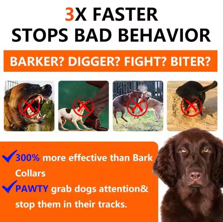 Dog Bark Device Stops Bad Behavior - Image 9