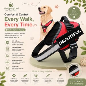 Reflective Dog Leash, Dog Leash, Dog Harness