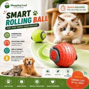 Electric Rolling Ball Toys For Cat