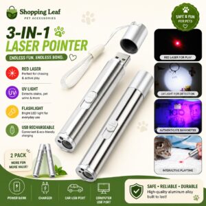 Red Laser Pointer Pen