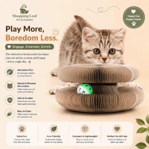 Organ Cat Scratch Board Corrugated Paper Wear-resistant No Chip Shedding
